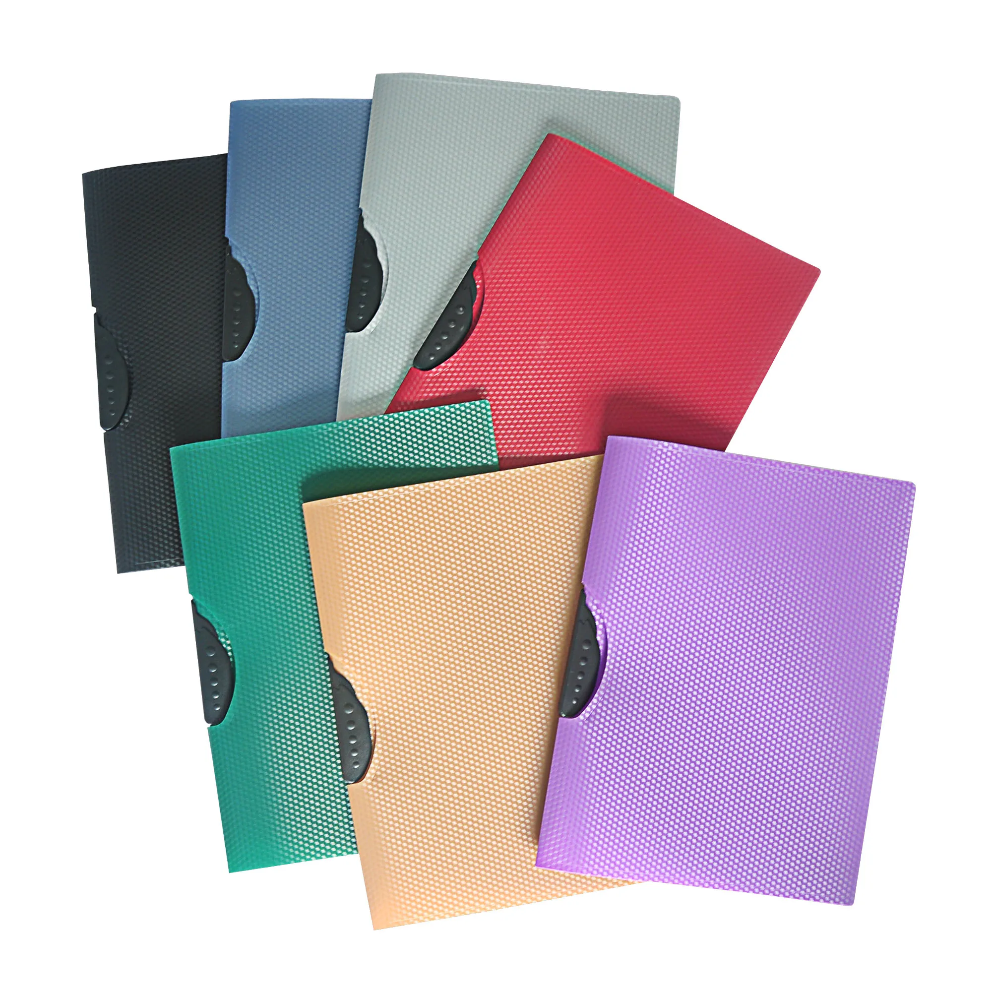 Custom Design Plastic Swing Clip Folder Pp Report Folder A4 Size File Folder