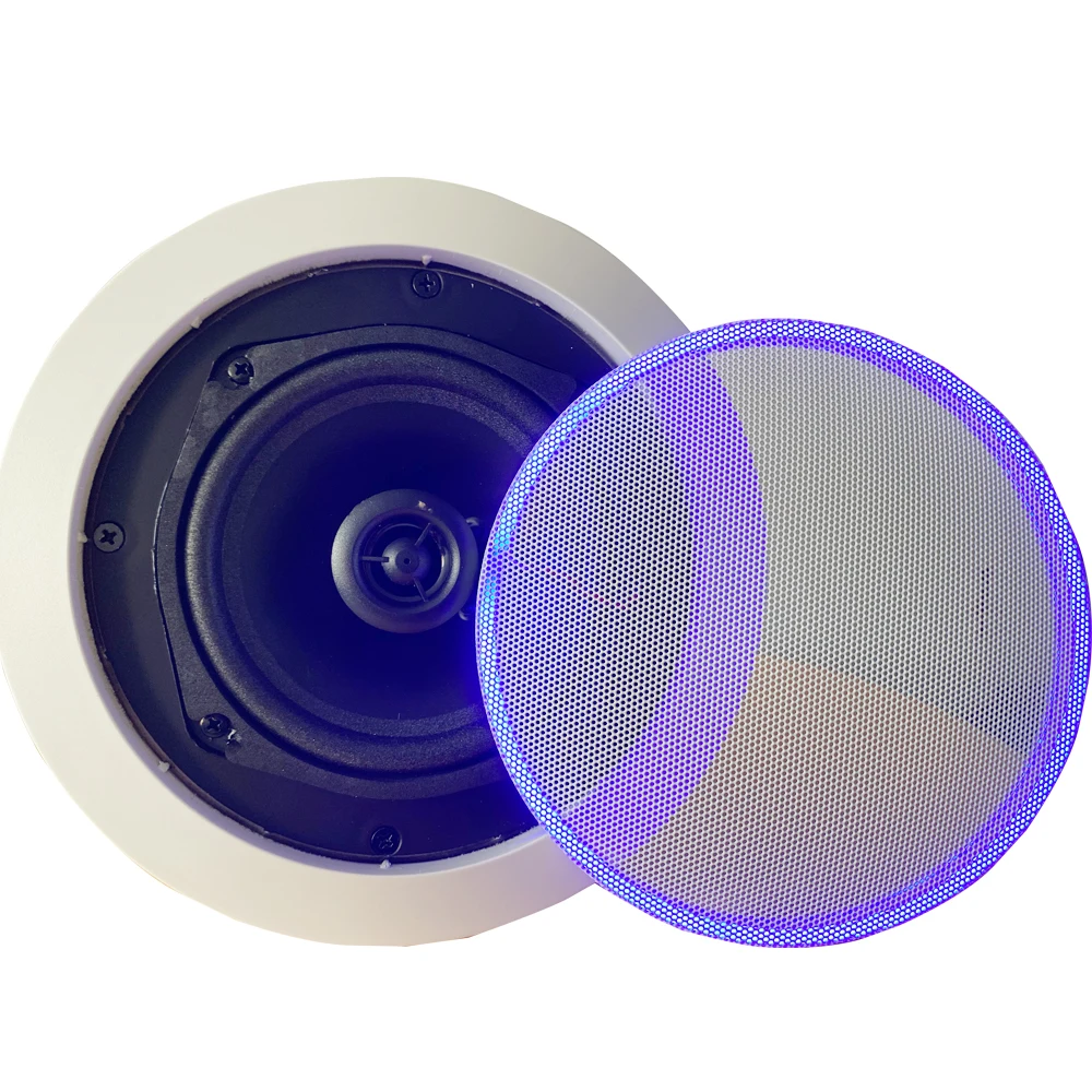 amazon alexa echo dot 4th generation voice AI Control ceiling speaker