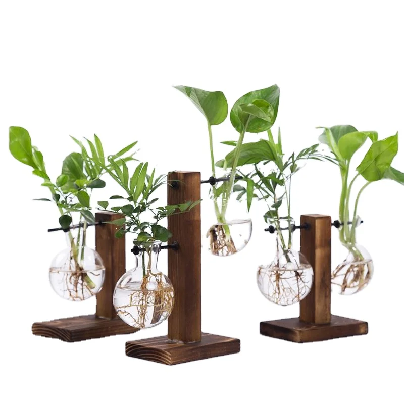 Горячая Продажа с завода, стеклянные террариумы со скидкой, гидропонная ваза, Винтажная настольная лампа для террариума