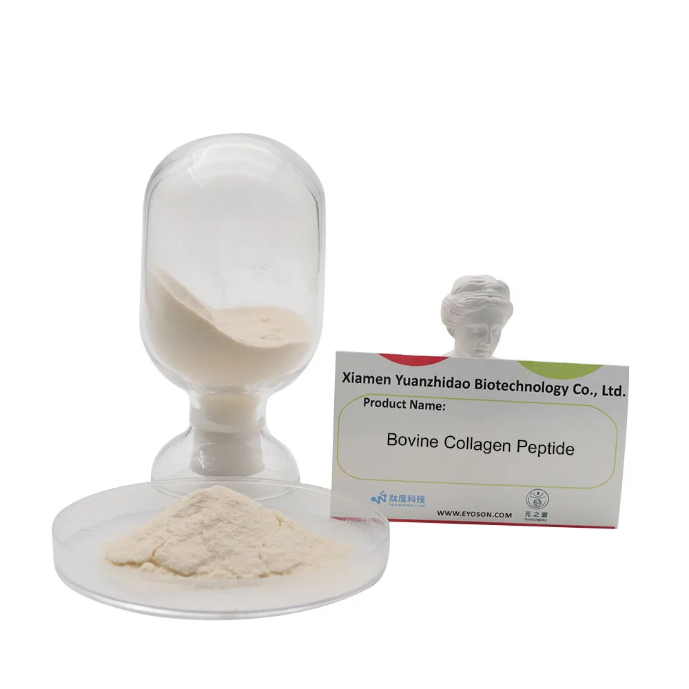 Factory Supply Hydrolyzed Bovine Collagen Peptide Pure Best Price Grass Fed Bovine collagen peptide Delay skin aging