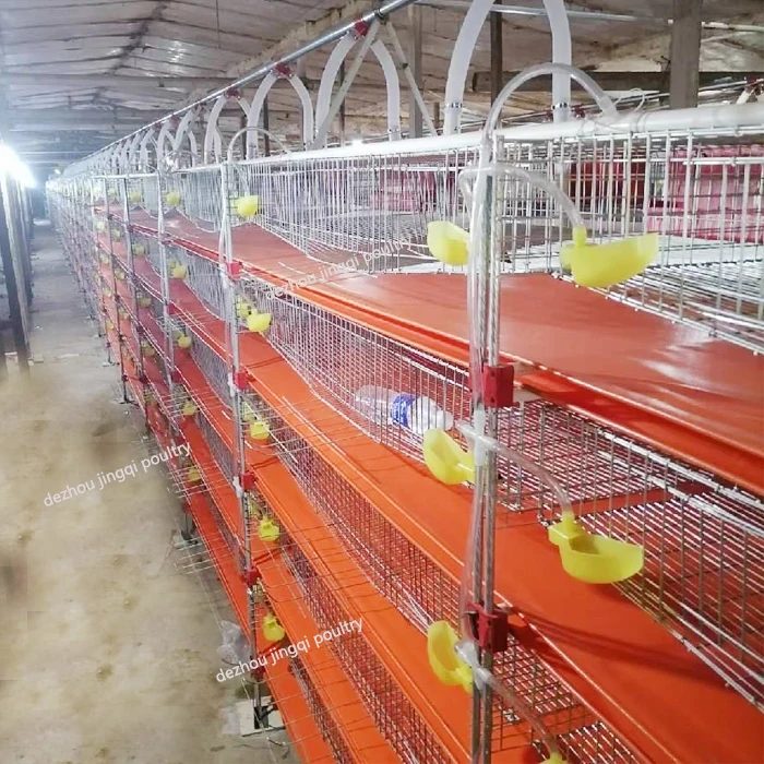 Automatic H type 6 floors quail eggs for egg production layer quail cage for sale