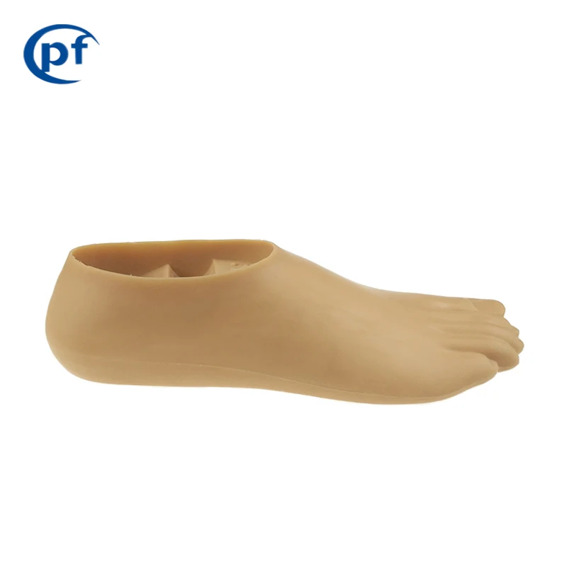 prosthetic toes artificial limbs foot  prosthetic foot two hole double axis foot