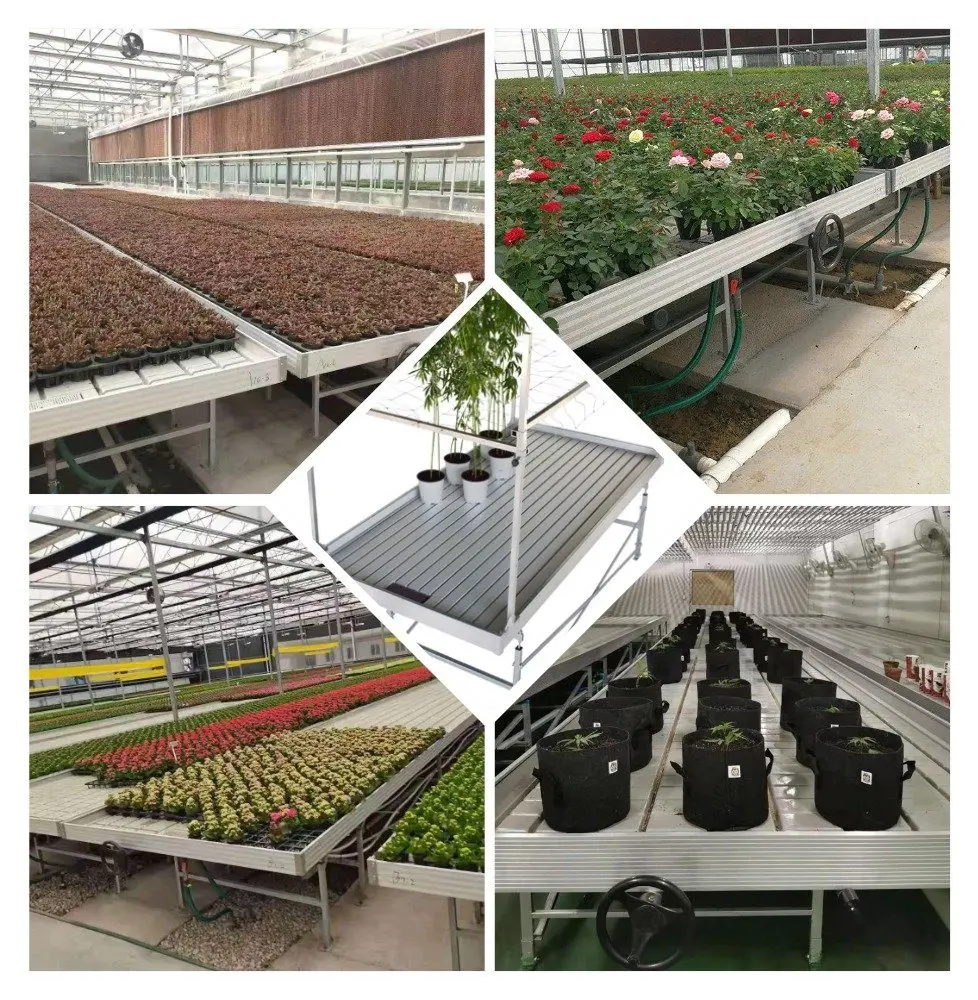 New Design High Quality Movable 4*8ft Vertical Grow Rack Multi Layer Grow Table Hydroponic ABS Tray Growing Table Rolling Bench