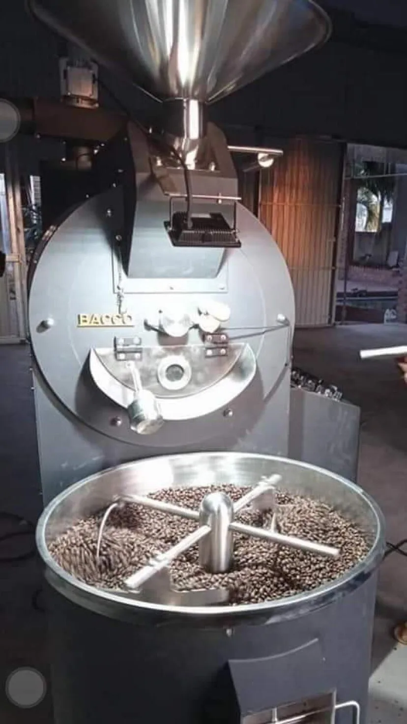 Robusta Coffee Bean Vietnam Origin 98% Maturity Pure 12.5% Max Moisture Roasted Coffee Bean