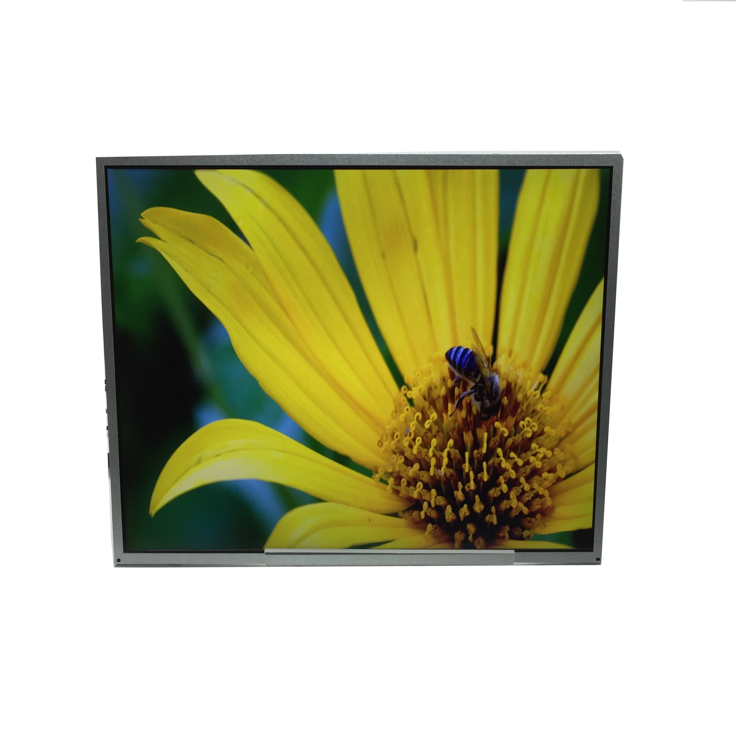 Top brand auo 19 inch digital signage hardware best pos touch tft lcd screen monitor lvds Best price high quality
