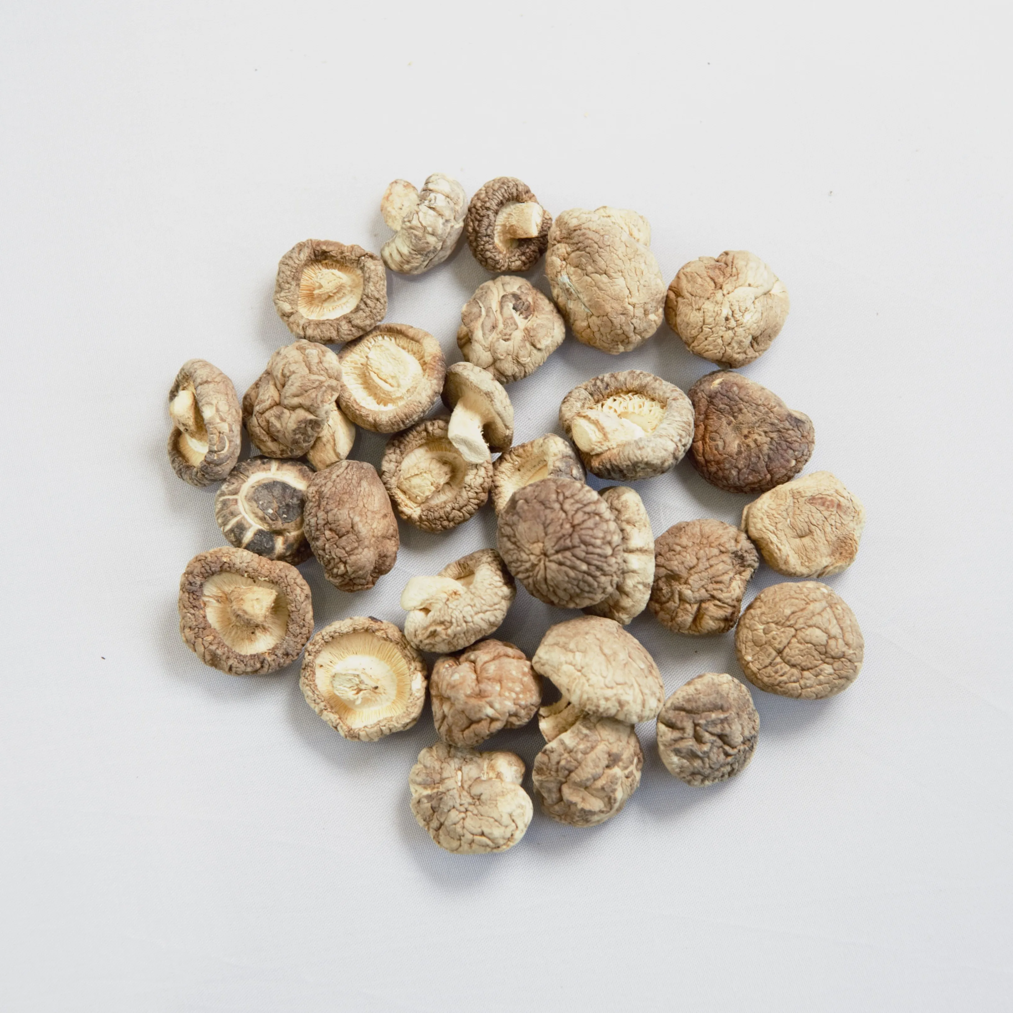 Сушеные грибы Shiitake оптовая продажа с завода 2-6