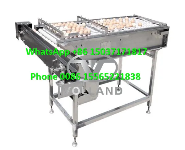 duck egg sorter machine/10000pcs per hour egg grader classifier/electronic egg sorting machine