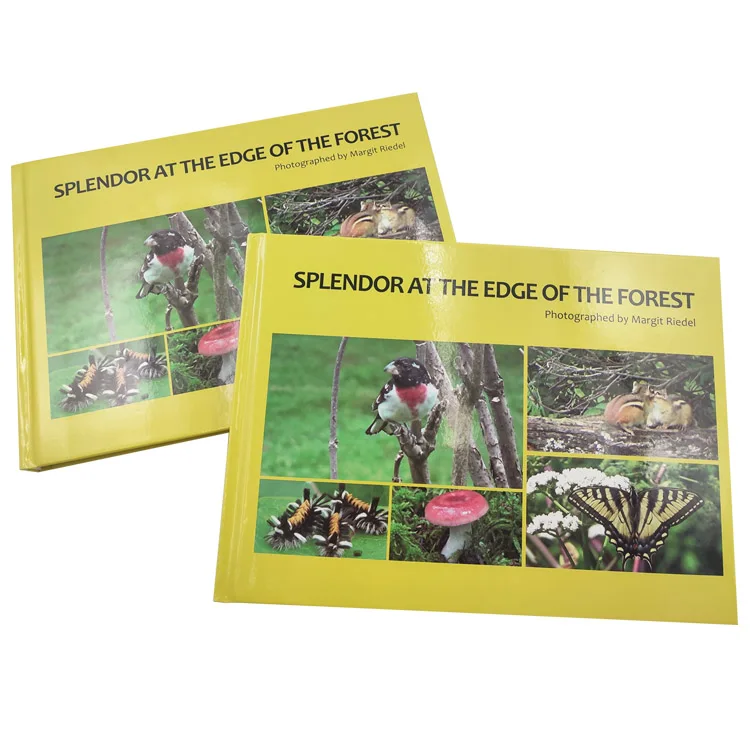Custom Book Service Hard Cover Photography Graphic Books Full Color Softcover Hardcover Photo Book Printing