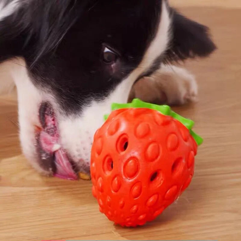 Natural Rubber Plush Silicone Plastic Tpr Nylon Abs Chewing Chuck Pet Tug-of-war Rope Ball Toothbrush Dog Chew Toy