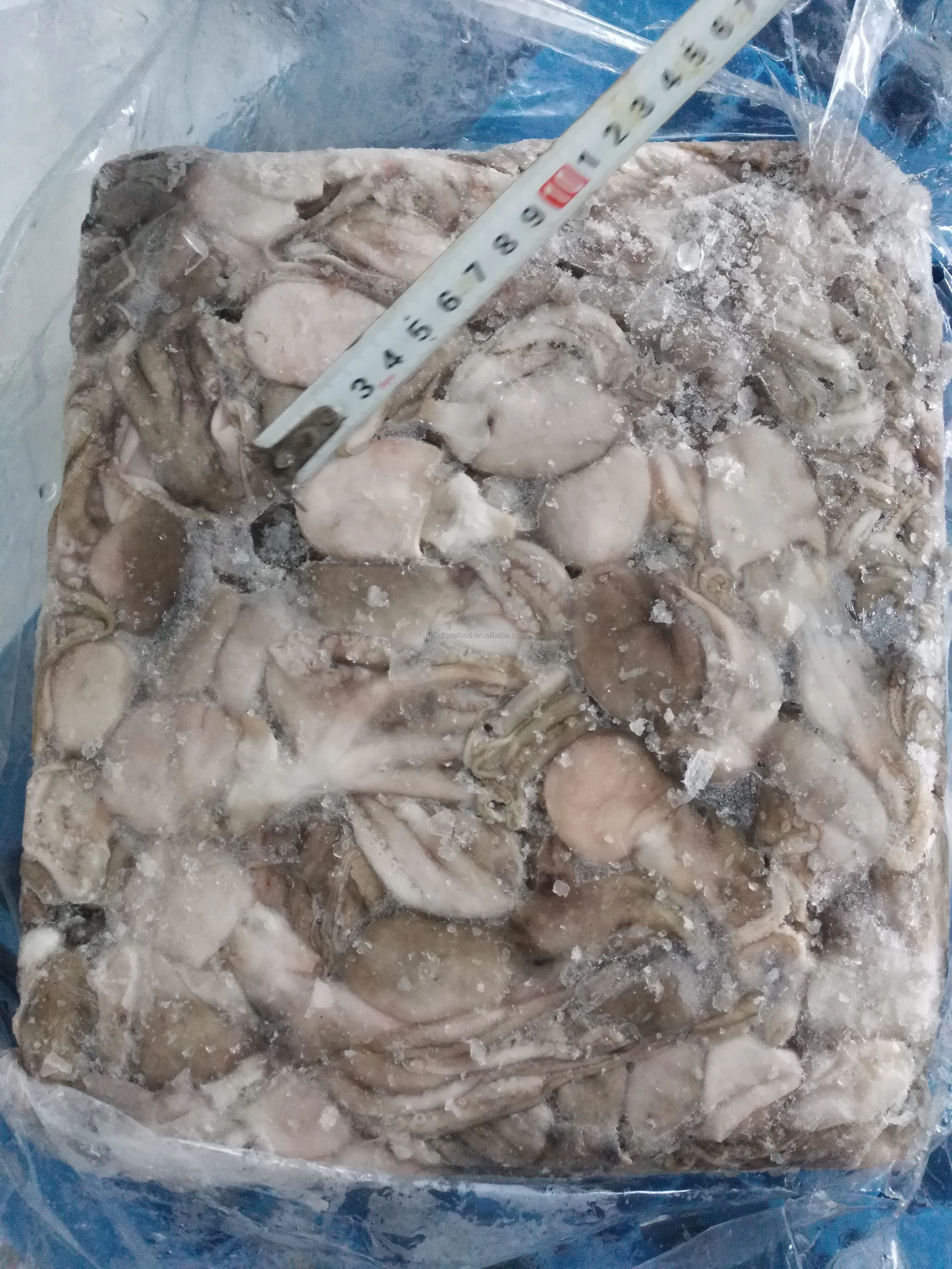 China Manufacturer Eye Off Frozen Baby Octopus Octopoda