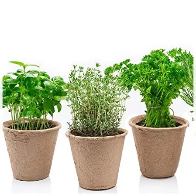 Cheap Price Eco-friendly Paper Cup Biodegradable Plant Starter Seedling Trays Flower Nursery Plant  Pot