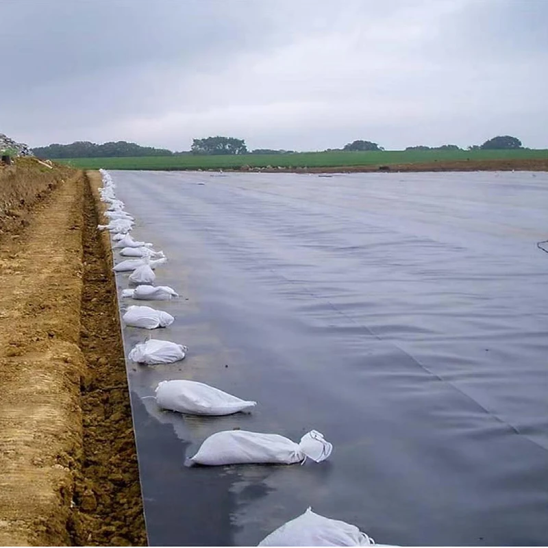 1.5mm 2mm Landfill geomembrane LDPE LLDPE PVC EPDM 1mm Dam Fish Farm Pond Liner HDPE Geomembrane  GM13 standard