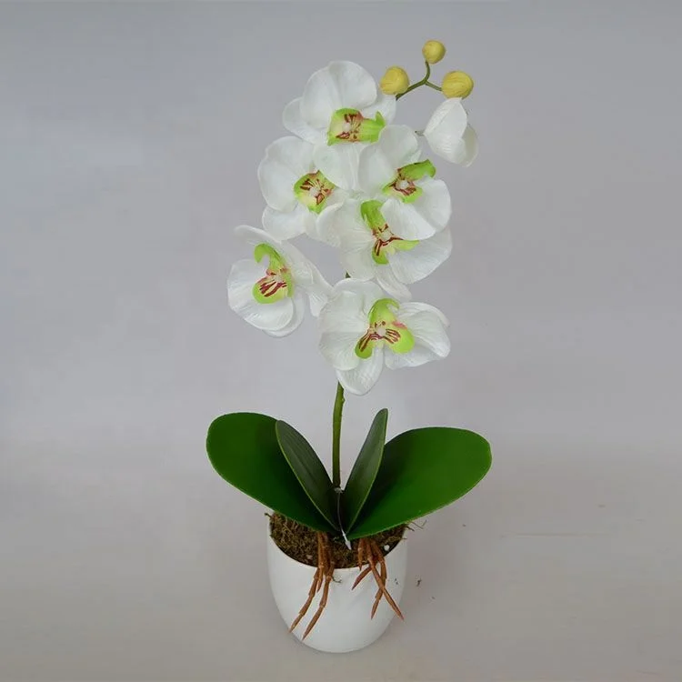 Wholesale garden decoration artificial plastic phalaenopsis orchid plants flowers Bonsai