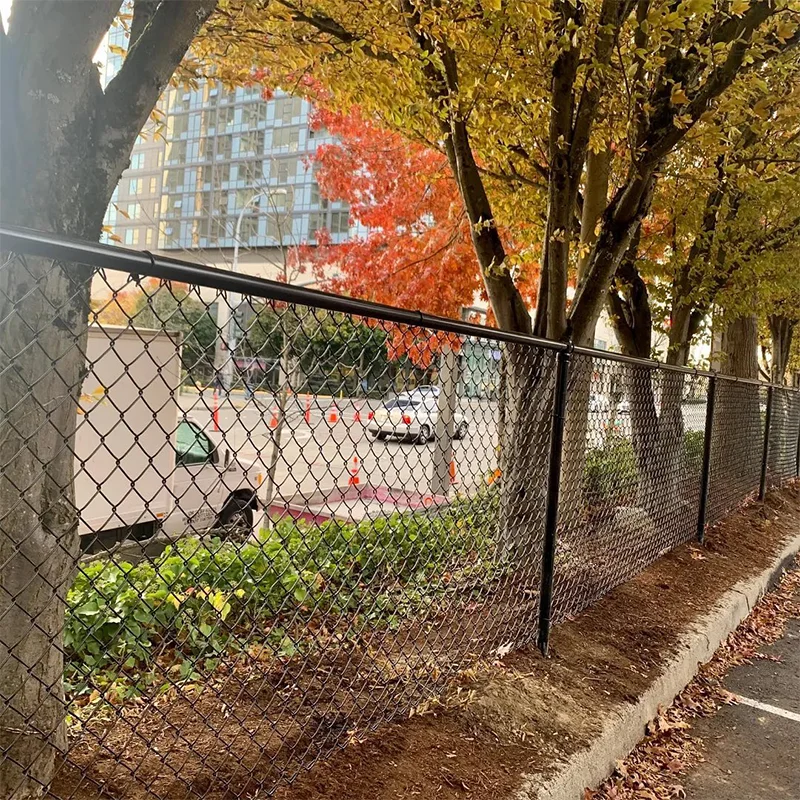SRX High Quality Chain Link Fence Panels Diamond Hole Shape Steel Wire Galvanized PVC Coated Versatile Stylish for House Use