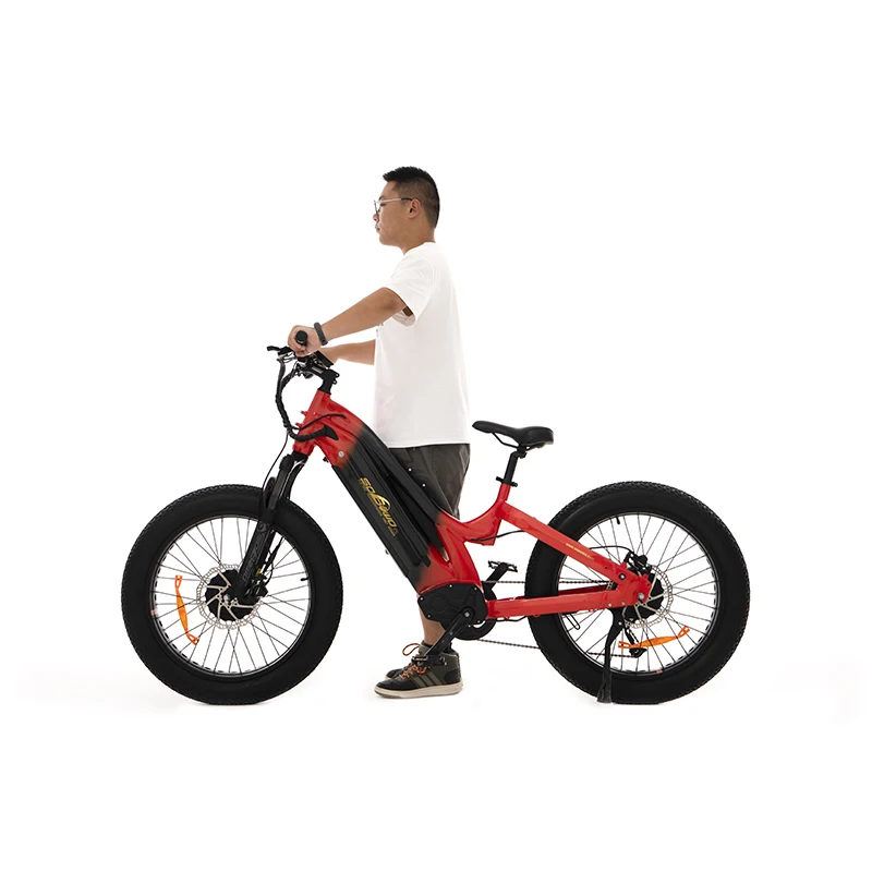 Высококачественный двухмоторный Электрический горный велосипед kenda 48 В shimano e family bici 1000 Вт bafang датчик крутящего момента Пляжный круизер