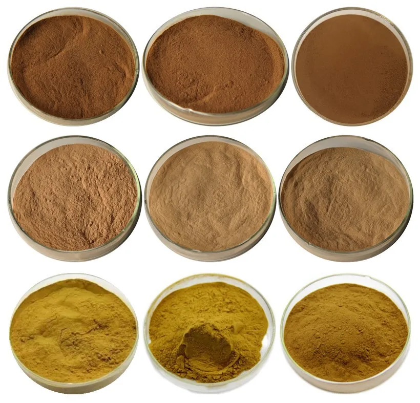 Wholesale Strawberry Juice Powder strawberry fruit powder