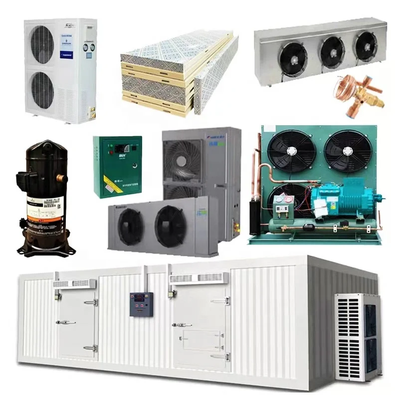 Freezer room refrigeration mini cold storage equipment for meat