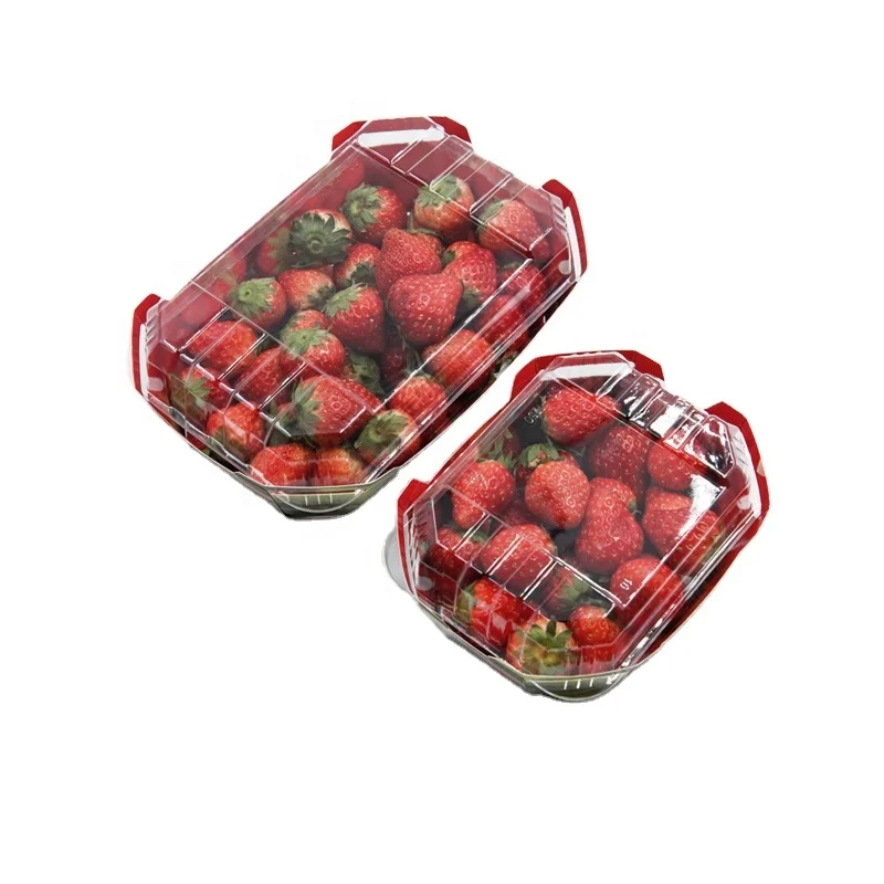 Disposable Fashion Strawberry Packaging Boxes  Cardboard  Box