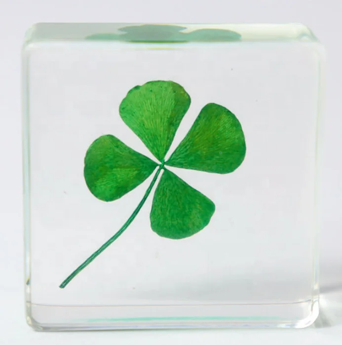 Dried Plant Four-leaf Clover in Resin Set Lucky Gifts for Collection