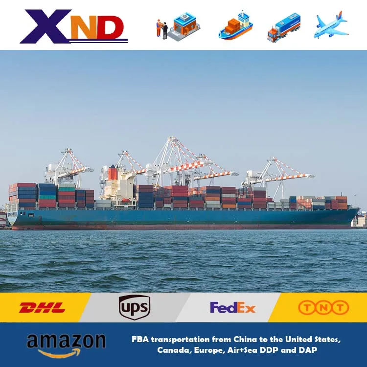 Sea Shipping DHL Express DDP Door To Door China To Spain Cheap and fast Logistics service from  China