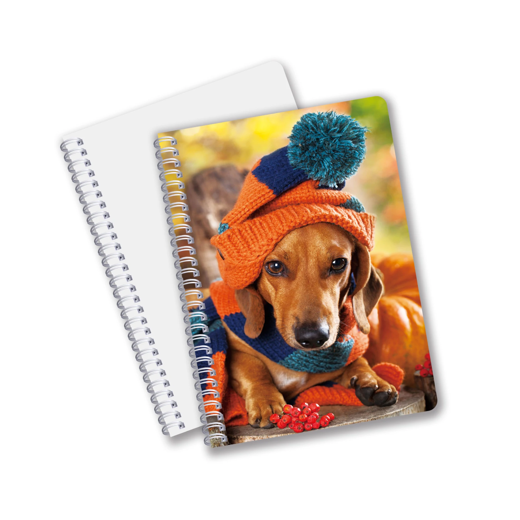 Канцелярские товары дневник тетради формата А4 3D чешуйчатая Обложка знаменитых видов