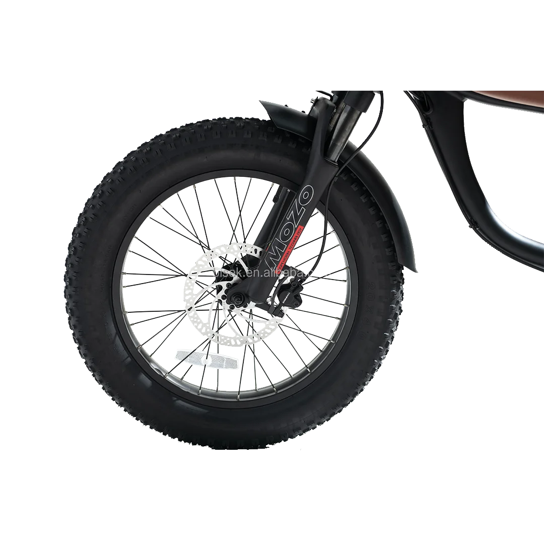 Green power vintage ebike electric bike electric city road woman ride 20inch fat tire from china