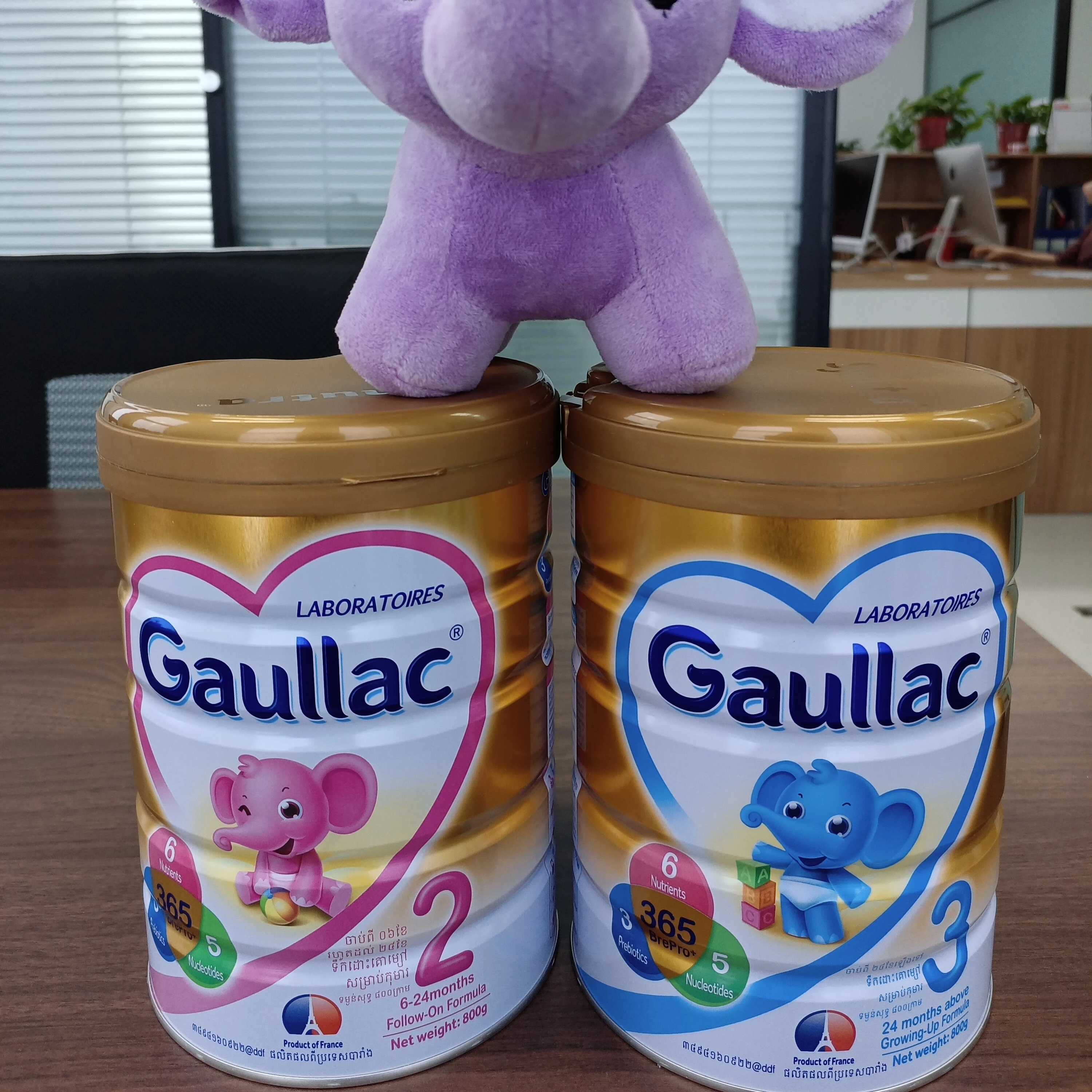 Gaullac Infant Formula Cow Milk Powder Nature 800g
