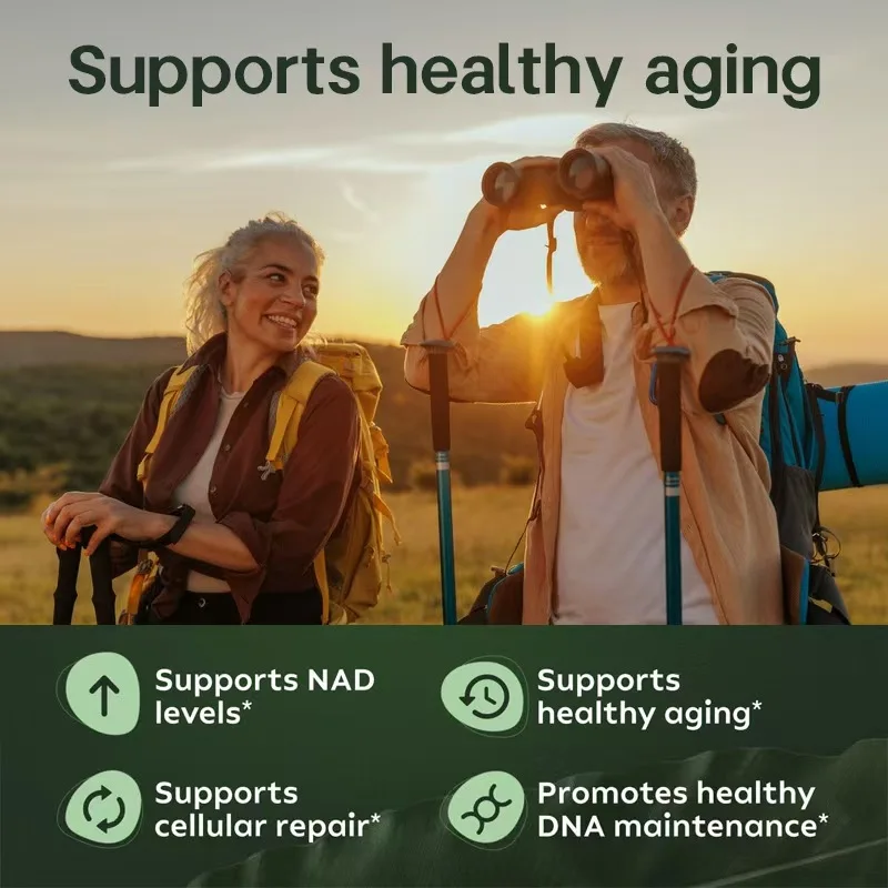 High Quality OEM/ODM Nicotinamide Riboside Capsule Nad for Aging Defense Energy