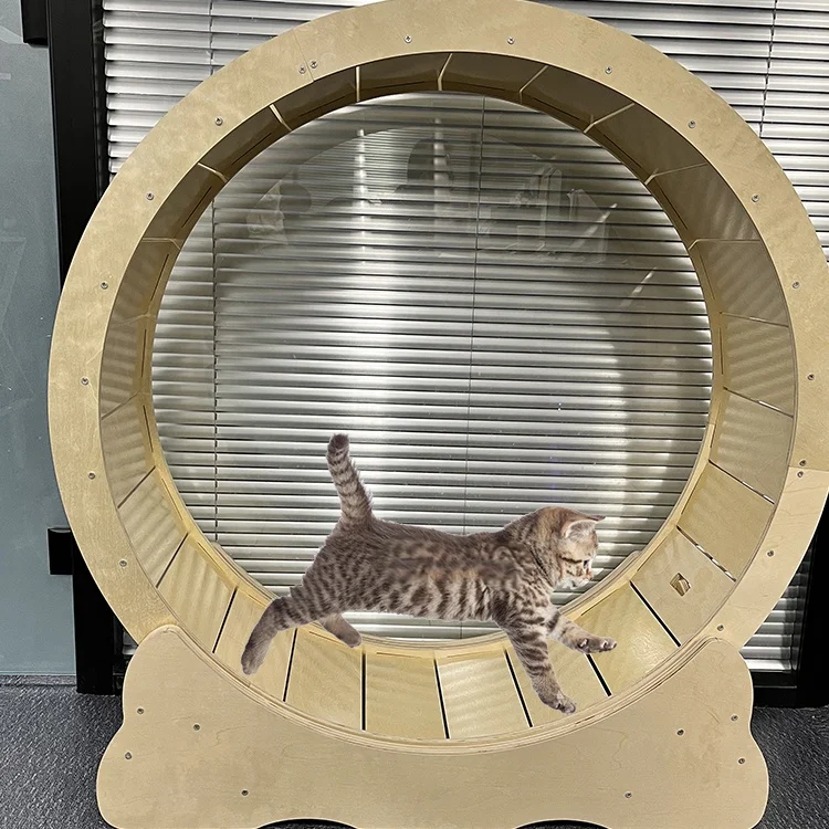 Pet Tumbler Toy Dog Leaky Food Interactive Cat Dispensing Ball Balance Swing Car Slow Feeder Treat Ball Increases IQ Toy