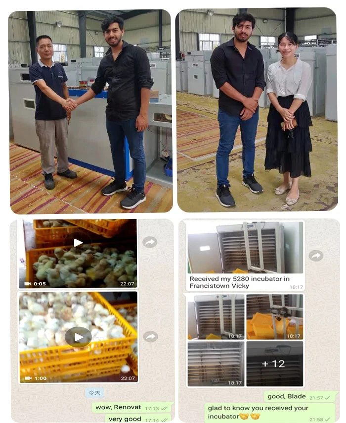 Microcomputer Husbandry Pigeon Solar Powered Incubator Poultry Hatchery Equipment Incubator