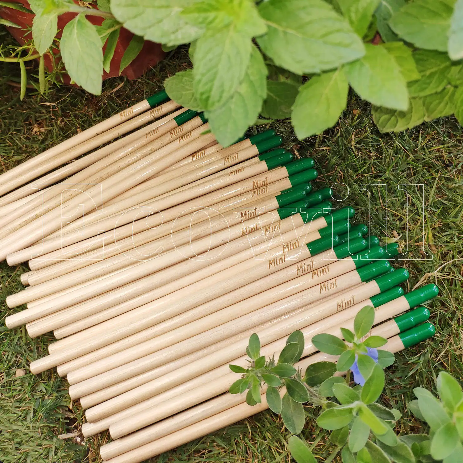 Promotion Sustainable  Eco Friendly  Pencil