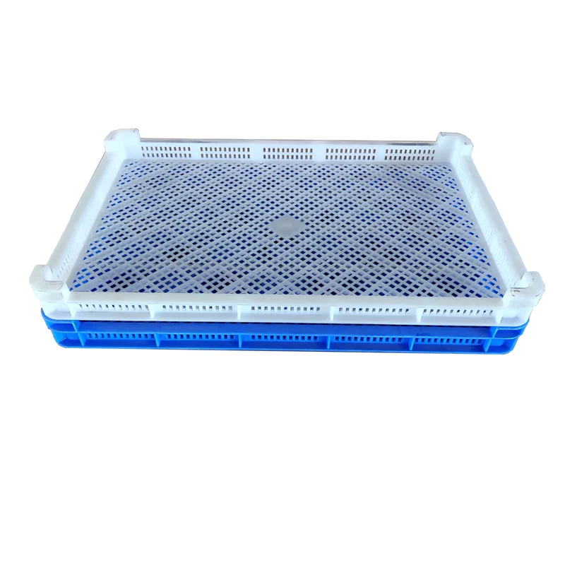 Food Grade Egg Frozen Plastic Drying Tray With Grid Plastic Drying Tray For Vegetables Fruits And Seafood