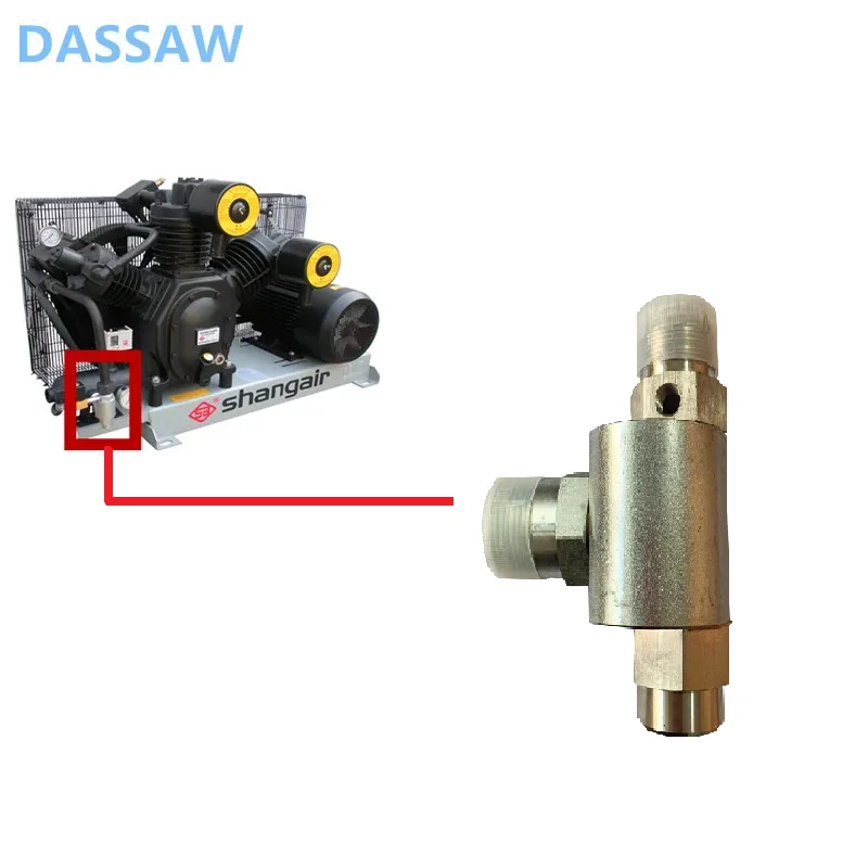 Factory Supply Air Compressor Accessories Air Check Valve Shang Air Brand Check Valve