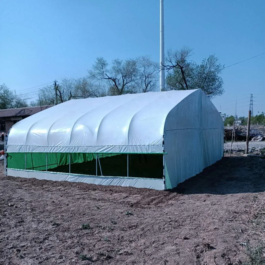 
Darkroom, mushroom species, agaric, edible fungi, Morchella planting greenhouse 