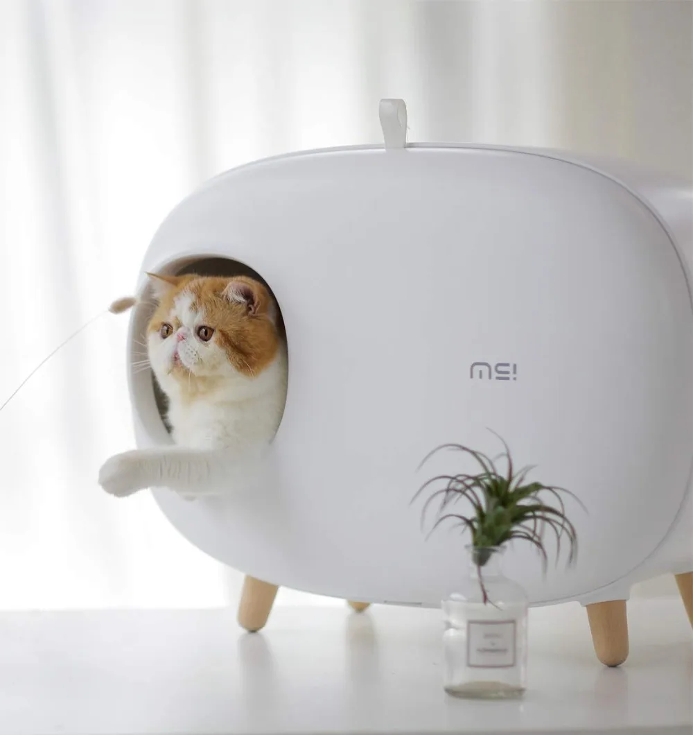 Comfortable Cat Litter Box Low Price Easy to Clean High Appearance Cat Toys