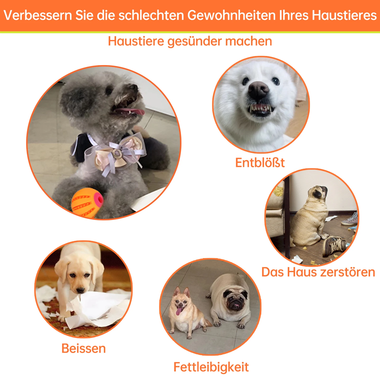 Laroo Luxury High Quality American Warehouse pet chew dog toy dog IQ Training ball bone for all kinds dog