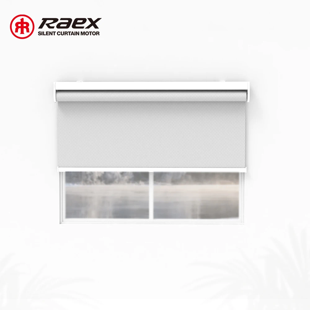 Day And Night Double Layer Tube Motor For With Solar Cells Tubuar 24 Vdc Alexa Smart Electric Blinds Motorized Roller Shade