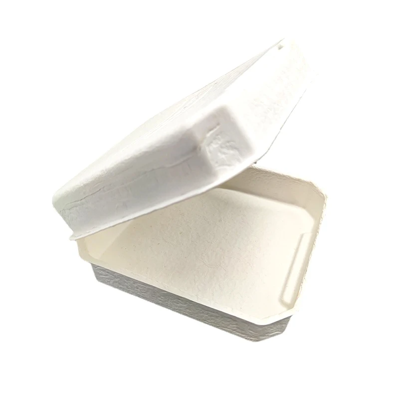 Top Quality 100% Eco-friendly Recyclable Biodegradable Protective Customized Molded Pulp Tray Packaging for Pulp Container