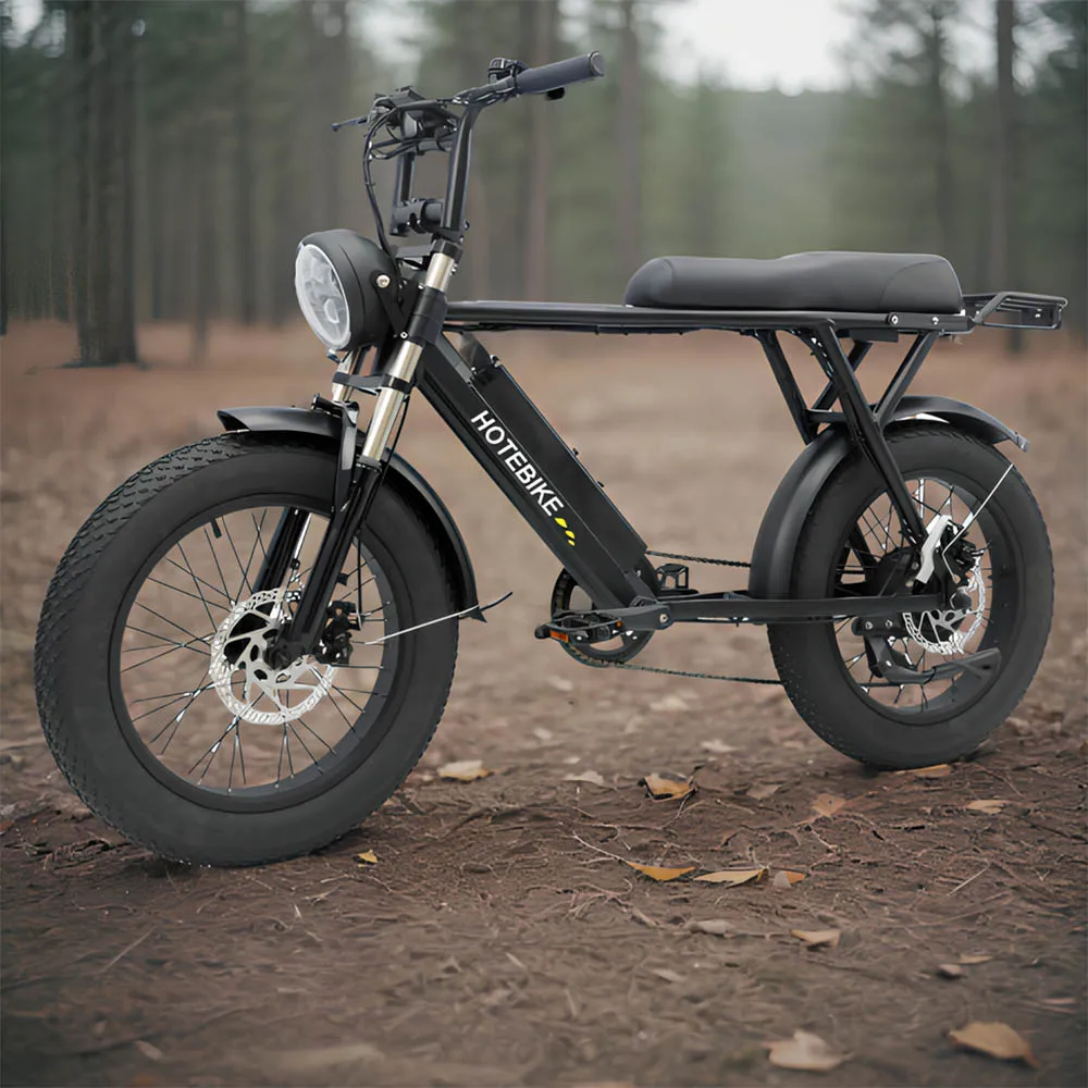 Fat Tire Electric City Bike 20 Inch Fat Tire Enduro Ebike 48V 500W 750W 1000W Rear Motor Electric Bicycle