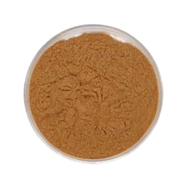 Food Grade Pure Natural Terminalia Chebula Fruit Extract Powder in Drum Packaging