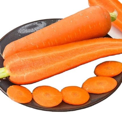 
Chinese new crop fresh carrot healthy carrot for sale 