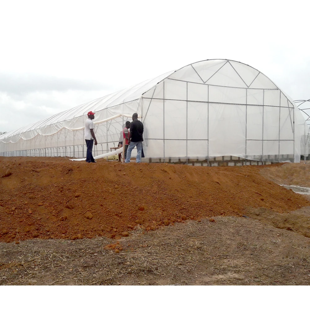 CHINA AGROTIME The commercial agricultural cheapest plastic tunnel greenhouses for sale