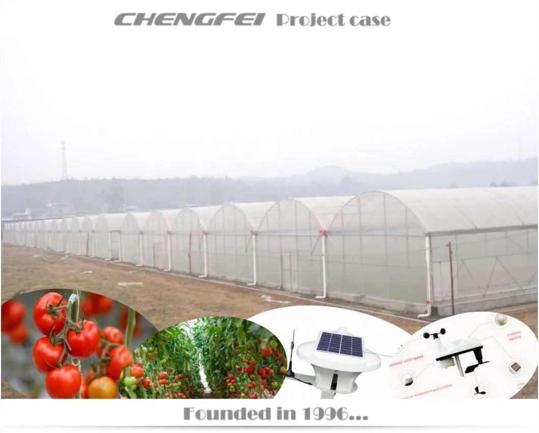 Large commercial multi-span plastic film ventilador invernadero industrial agricultural greenhouses sales
