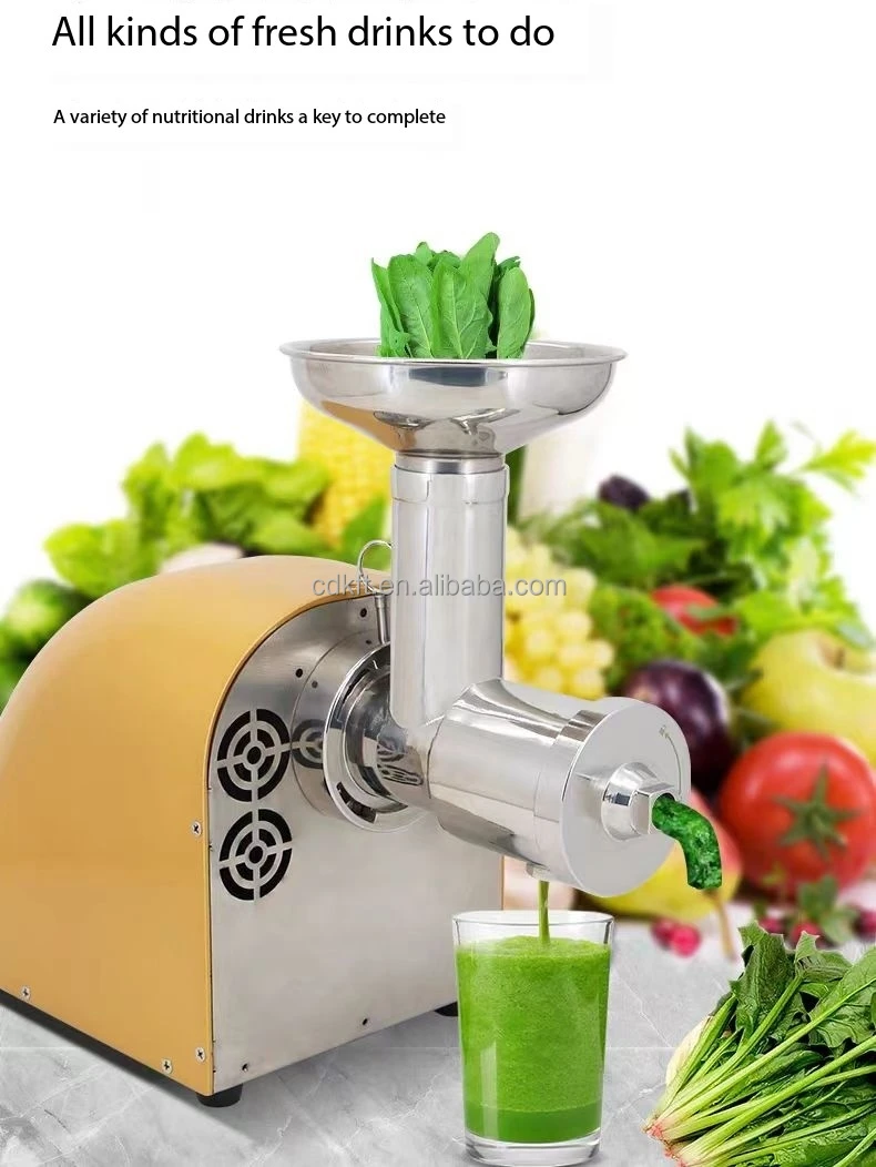 Freshly Squeezed Fresh Fruit Hot Selling Juicer Extractor Machine Orange Juicer Slow Cold Press Juicer Compact Size Lower Noise
