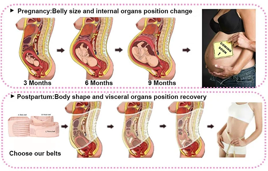 3 In 1 Abdominal Waist Tummy Belt Maternity Postpartum Back Support Belt For Women Postpartum Recovery