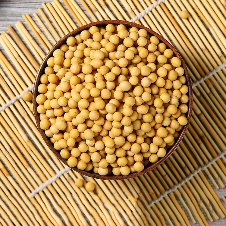 Vacuum Package NON-GMO Soybean Available for Cheap Price Dried Yellow Soybean