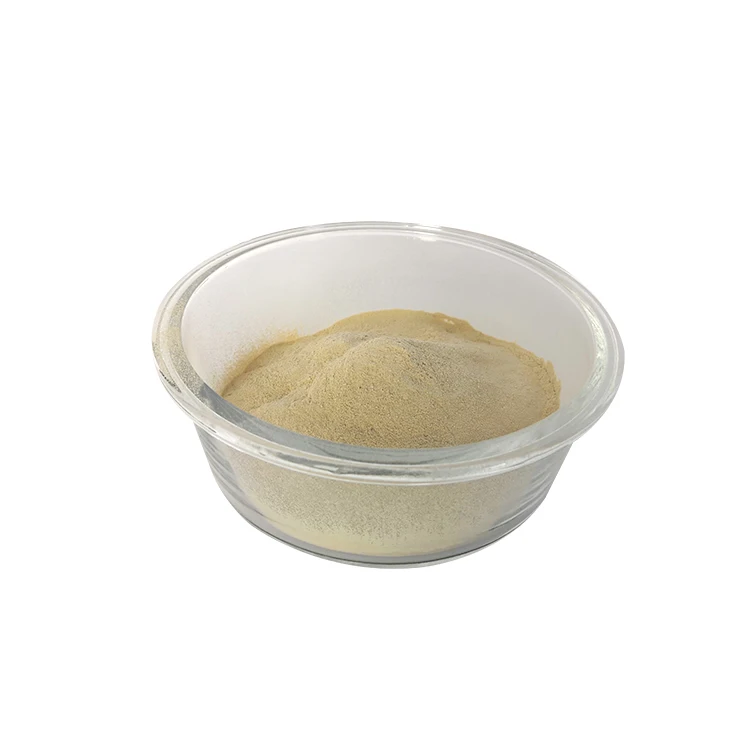 Newest Design Quality 60% Protein Feed Corn Gluten Meal Yellow Corn Animal Feed