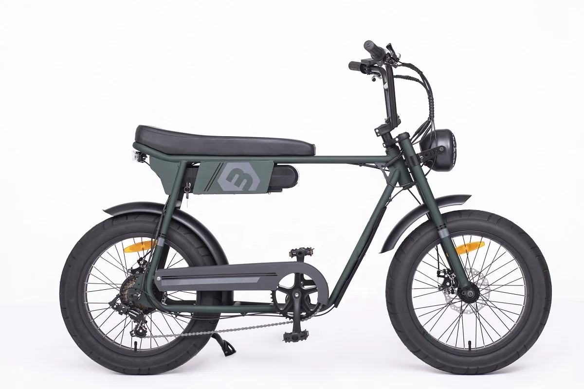 20 Inch Fat Tire 250W 350W 500W 750W 1000W Fast Speed Off-Road Electric Moped Bike
