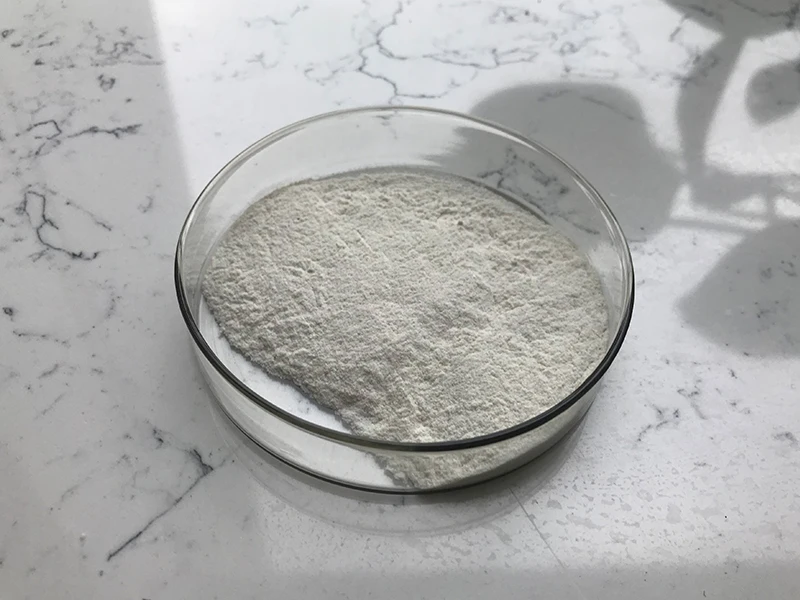 Insen Provide Bulk Stock Nano Chitosan Chitin