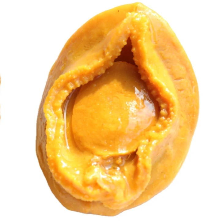 Frozen Abalone  Canned Steam Abalone Bulk Curry Abalone 220g/can